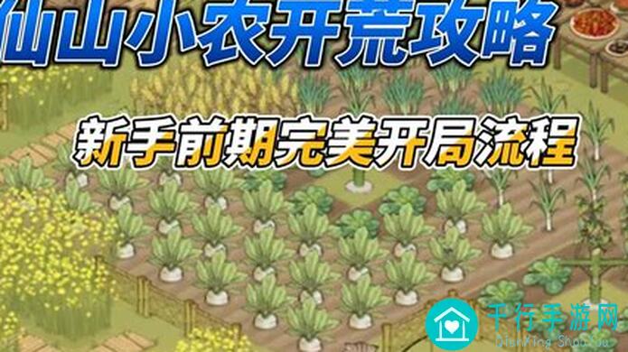 仙山小农浮空岛梅与花:教你轻松提升战力的黄金攻略汇总!