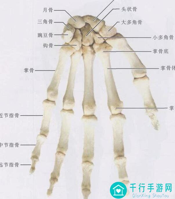 手把手教你阴阳师：百闻牌牌局攻略，专属牌选择技巧，补牌绝招大揭秘！