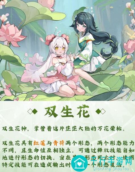长安幻想战斗与养成攻略全解析:助你秒变战神!