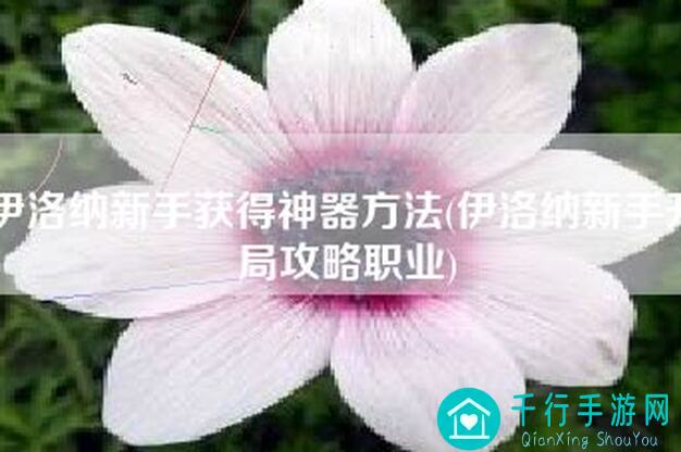伊洛纳逆命：逆天装备大揭秘，轻松战力飙升攻略指南！