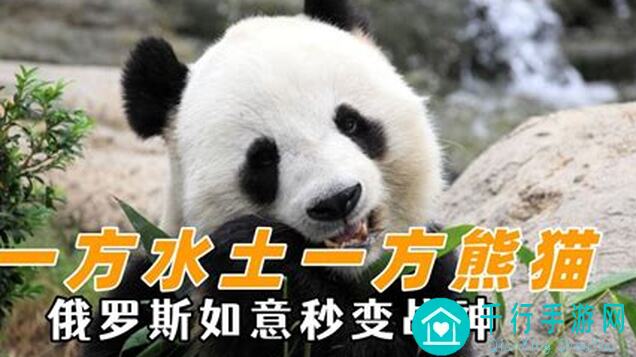 问山海攻略大揭秘：顶级刀客玩法技巧，看完秒变战神！