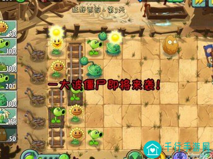 植物大战僵尸狂野西部第3天全攻略：怎么选性价比最高的植物搭配