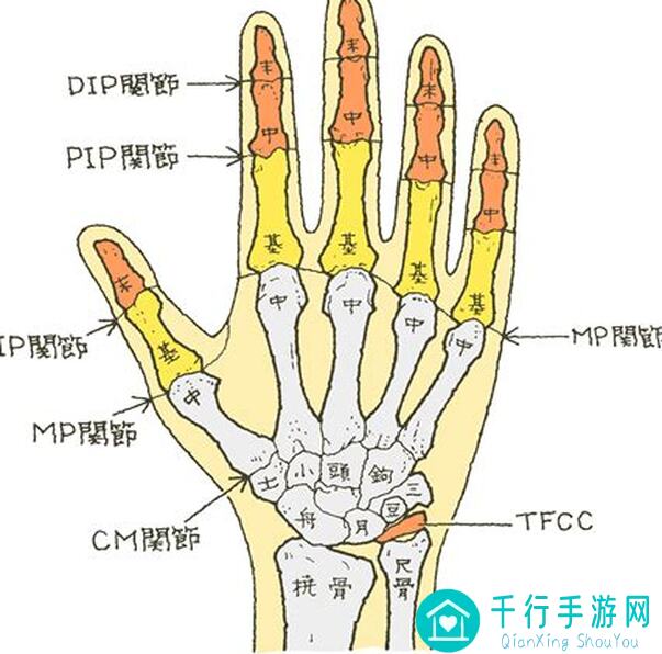 手残党福音！新月同行阵容搭配攻略，让你秒变战神，通关到底！