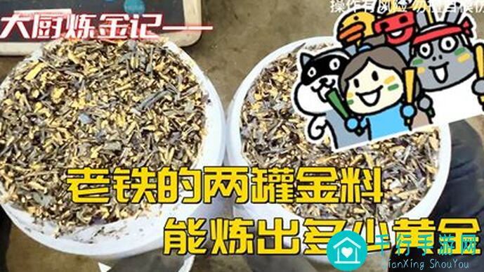 秒懂饼饼罐罐进阶攻略：黄金战力组合解析