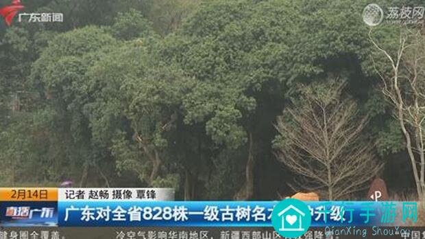 百分之一6.24冰厄超弦揭秘：百层骨灰级玩家废卡逆袭，独家攻略助你秒变冷天帝专属挂件！