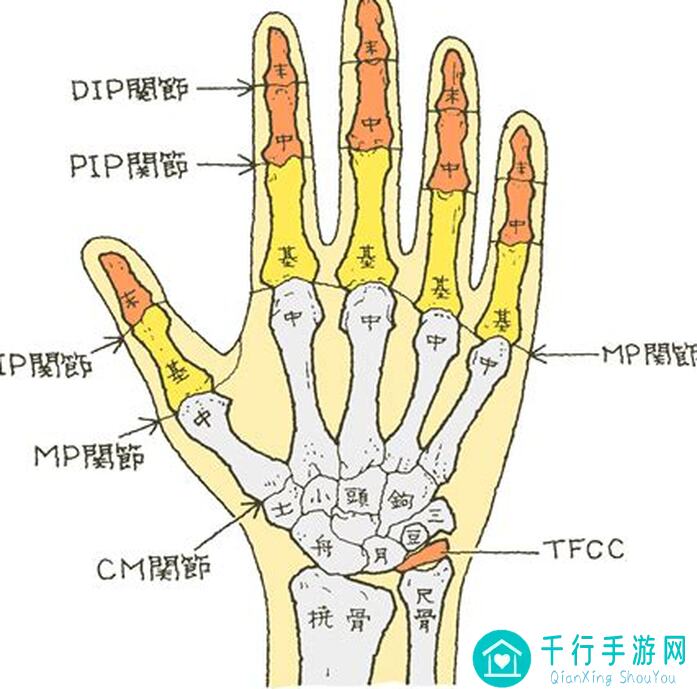手把手教你：队长小翼最强十一人哪款角色最适合谋士魂