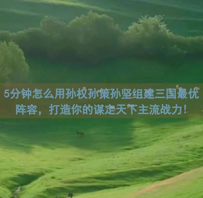 5分钟怎么用孙权孙策孙坚组建三国最优阵容，打造你的谋定天下主流战力!