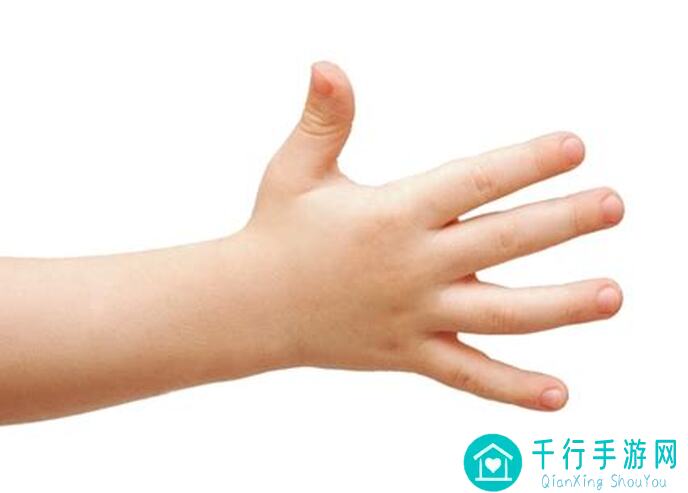 手把手教你参与魔镜物语灵物活动攻略秘籍