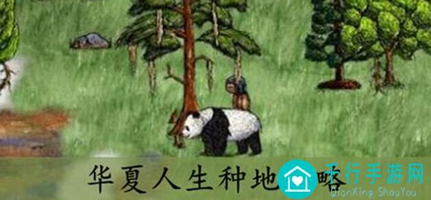 华夏人生攻略：揭秘家标的误区，让你少走弯路！