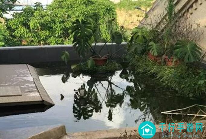 枪火重生攻略：教你轻松打造龟龟角色的完整枪火搭配指南！