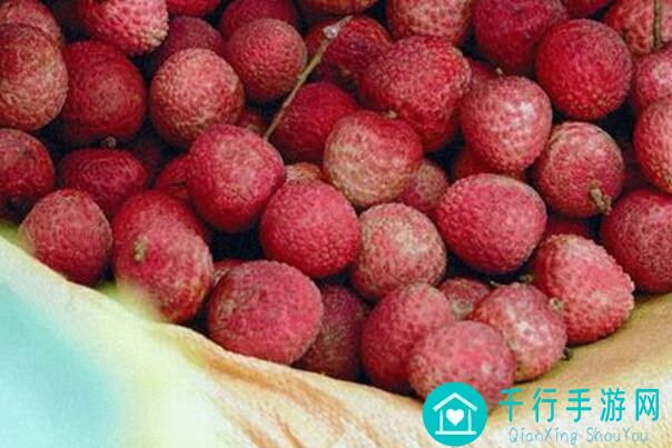长安幻想新手必备攻略：零基础入门指南