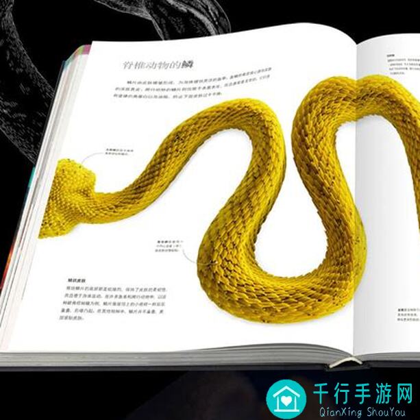 必看！5大攻略解析，动物王者版号拿到后如何快速上手成为动物王者！