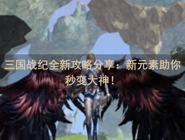 三国战纪全新攻略分享：新元素助你秒变大神！