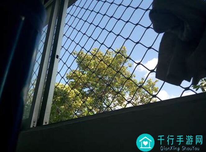 萌新入坑托拉姆物语不氪金不乞讨？首推这个职业！