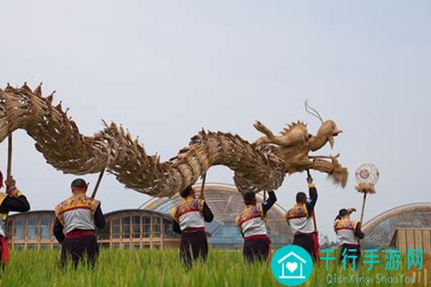 龙的传人彭头山四级地图攻略：地图布局详解，让你一秒变战神！